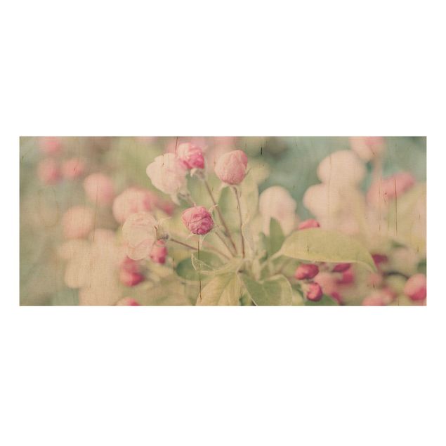 Quadri in legno con fiori Bokeh di fiori di melo rosa chiaro