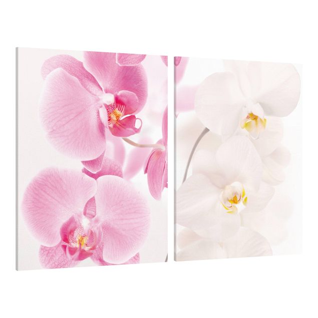 Tele componibili Orchidee delicate