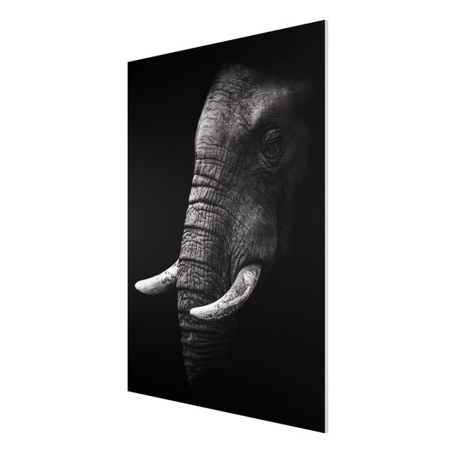 Quadri con elefanti Ritratto di elefante scuro