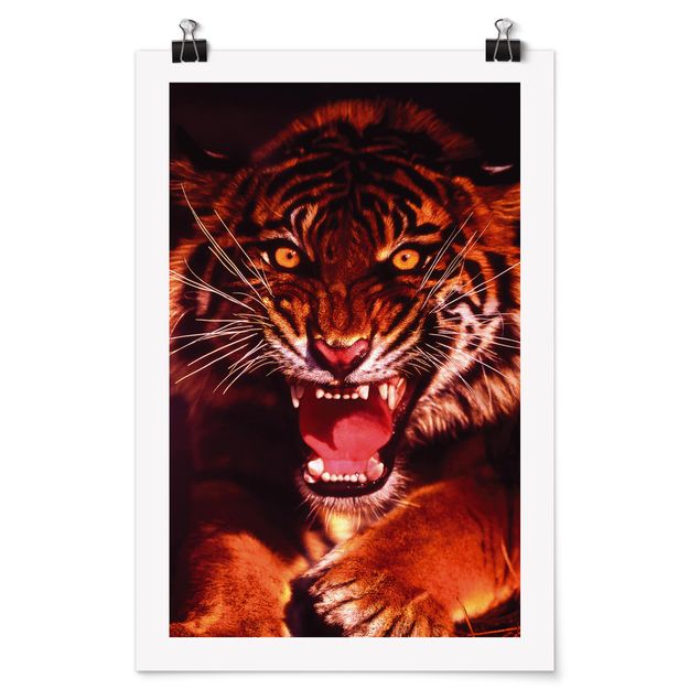 Poster animali Tigre selvaggia