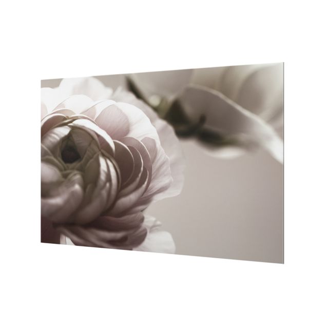 Paraschizzi in vetro - Focus su fioritura scura - Formato orizzontale 3:2