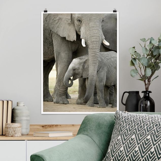 Quadro Africa Elefante e amore
