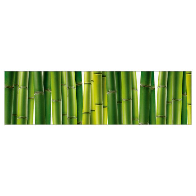Rivestimento cucina - Piante di Bambù II