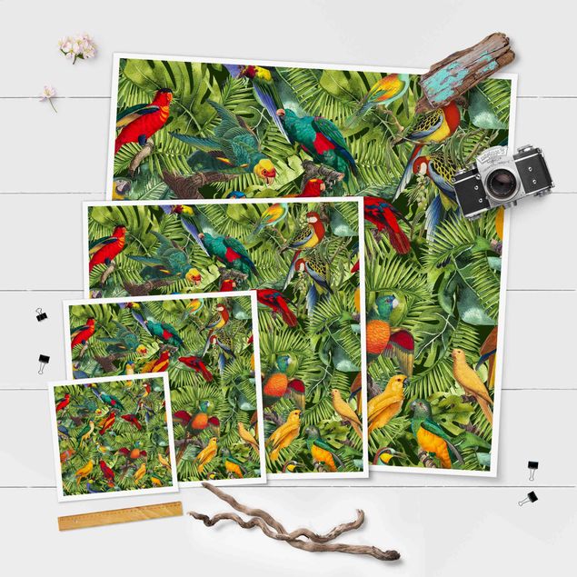 Poster da parete  Collage colorato - Pappagalli nella giungla