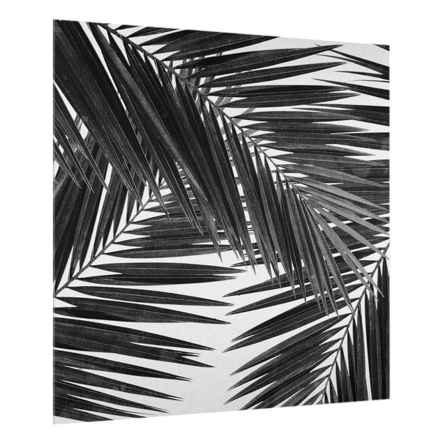 Paraschizzi con paesaggio Vista sulle foglie di palma in bianco e nero
