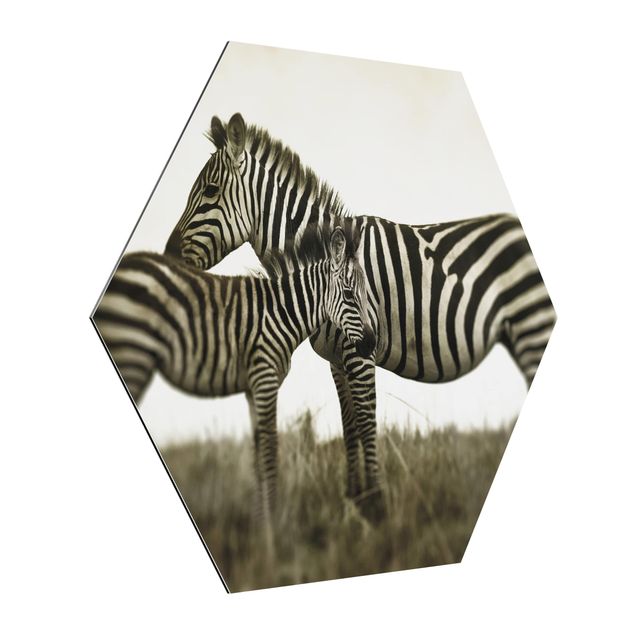 Quadri in bianco e nero Coppia di zebre