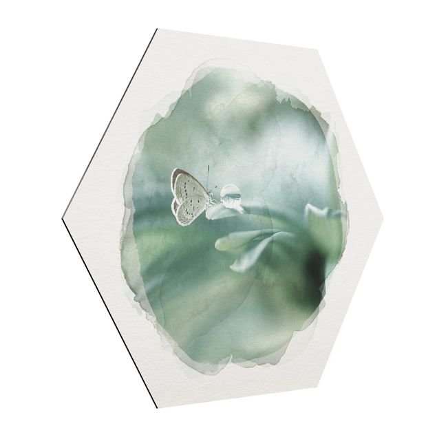 Quadro animali Acquerelli - Farfalla e gocce di rugiada in verde pastello