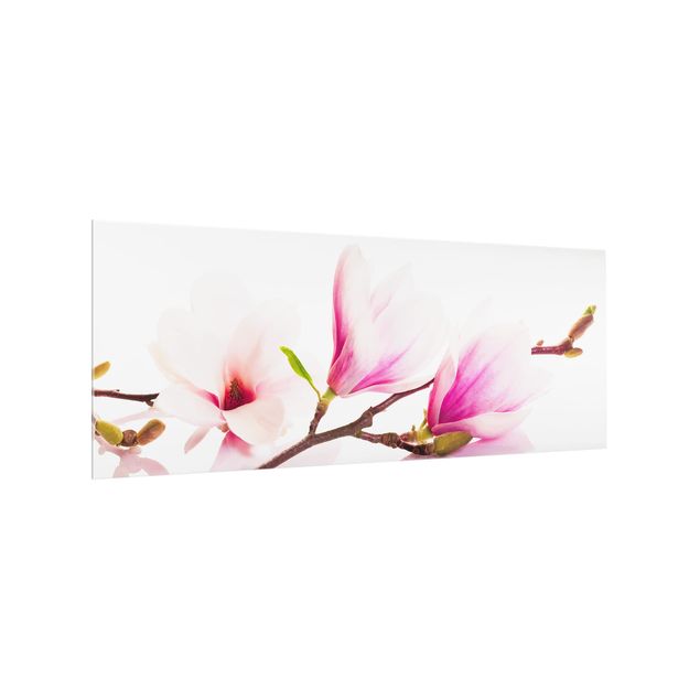 Paraschizzi cucina Delicato ramo di magnolia
