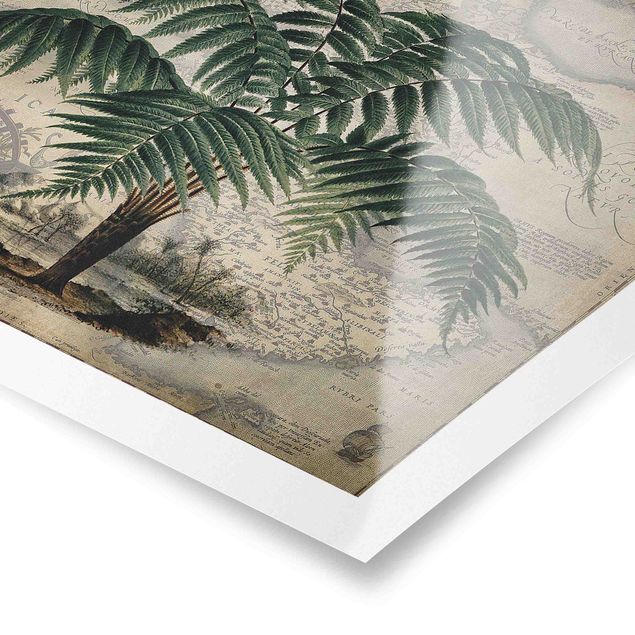 Quadri Andrea Haase Collage vintage - Palma e mappa del mondo