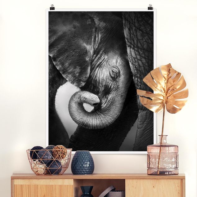 Elefante quadro L'amore della madre