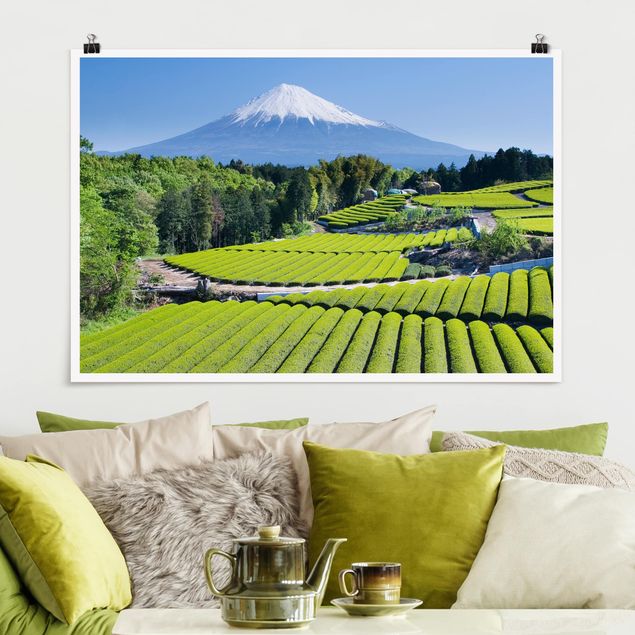 Quadro paesaggio Campi di tè davanti al Fuji