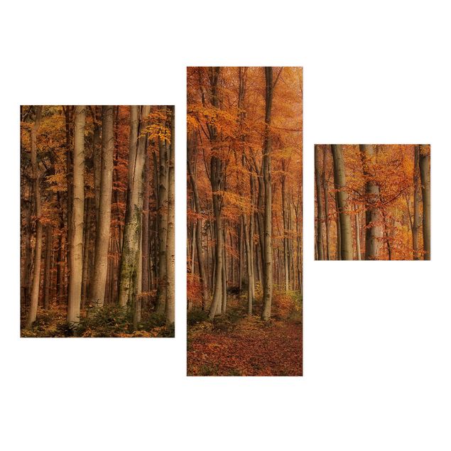 Stampa su tela 3 parti - Herbstspaziergang - Collage 1