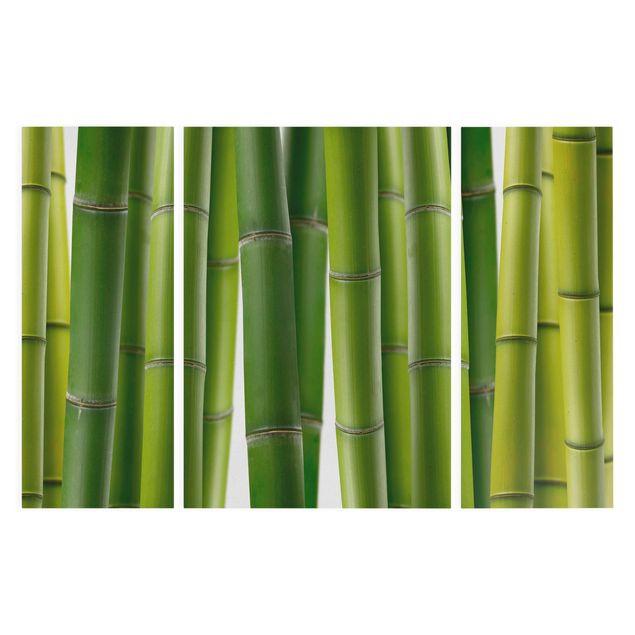 Quadri su tela componibili Piante di bambù