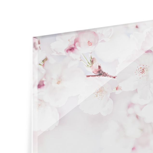Paraschizzi in vetro - Tocco di fiori di ciliegio - Formato orizzontale 3:2