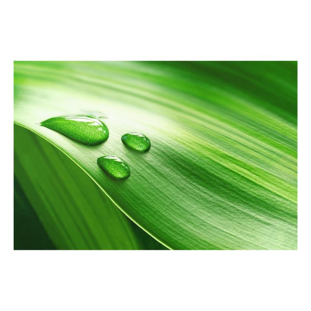 Paraschizzi in vetro - Banana Leaf With Drops