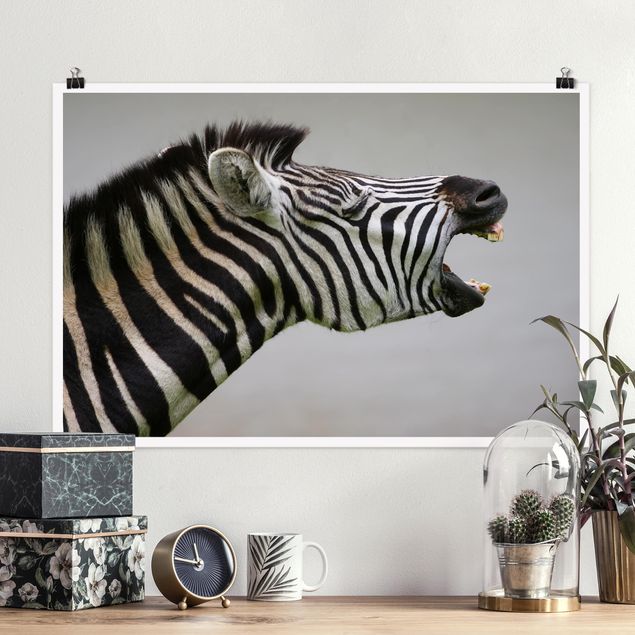 Quadro Africa Zebra ruggente