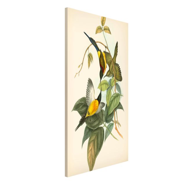 Lavagne magnetiche con fiori Illustrazione vintage Uccelli tropicali IV