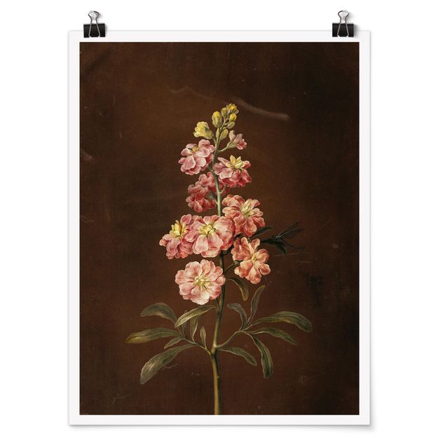 Quadri con fiori Barbara Regina Dietzsch - Una gigliofiore rosa chiaro