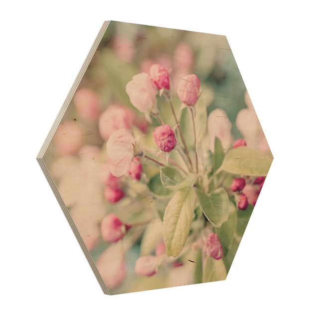 Quadri rosa Bokeh di fiori di melo rosa chiaro