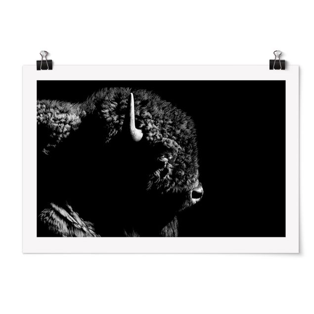 Poster bianco nero Bisonte al buio