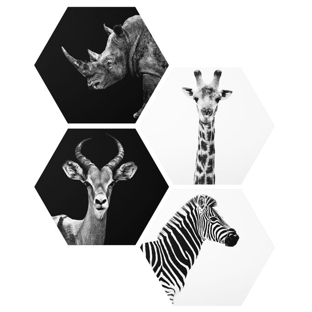Quadri moderni bianco e nero Quartetto di safari