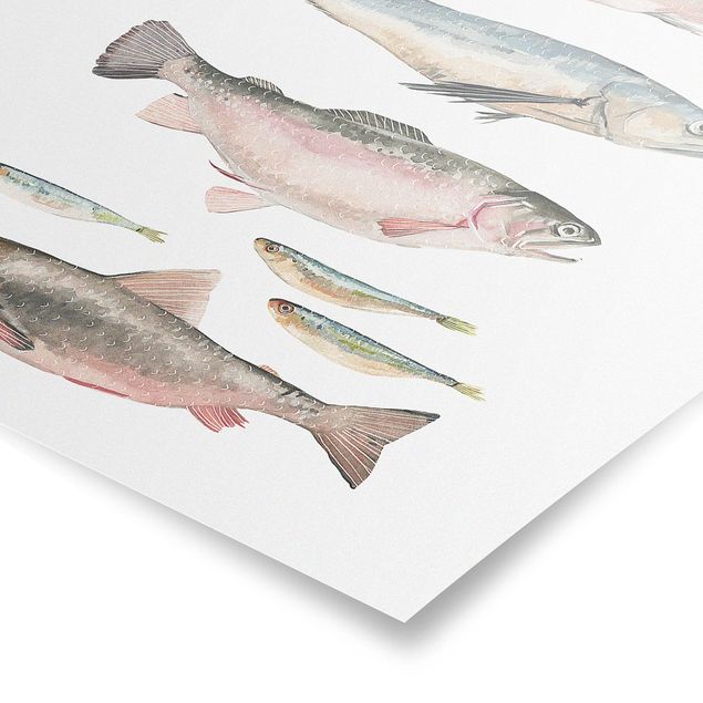 Quadro animali Sette pesci in acquerello I