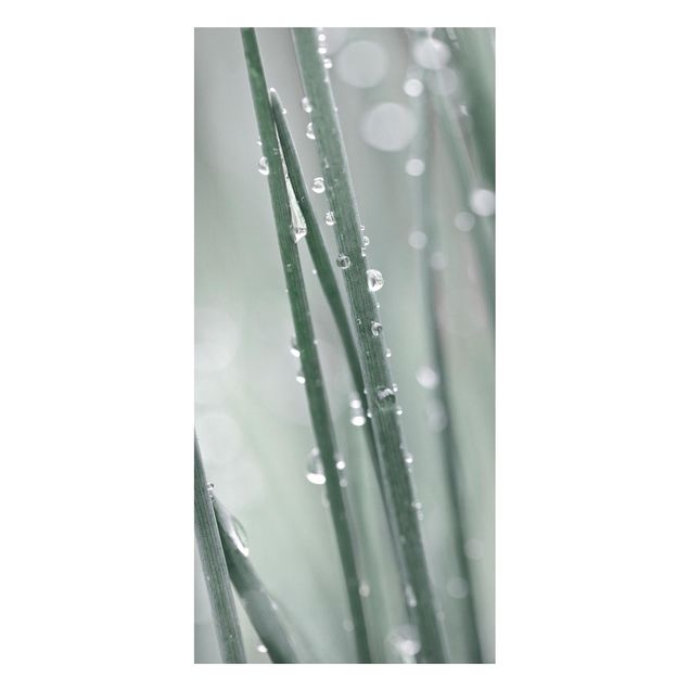 Quadro moderno Macro immagine perle d'acqua sull'erba