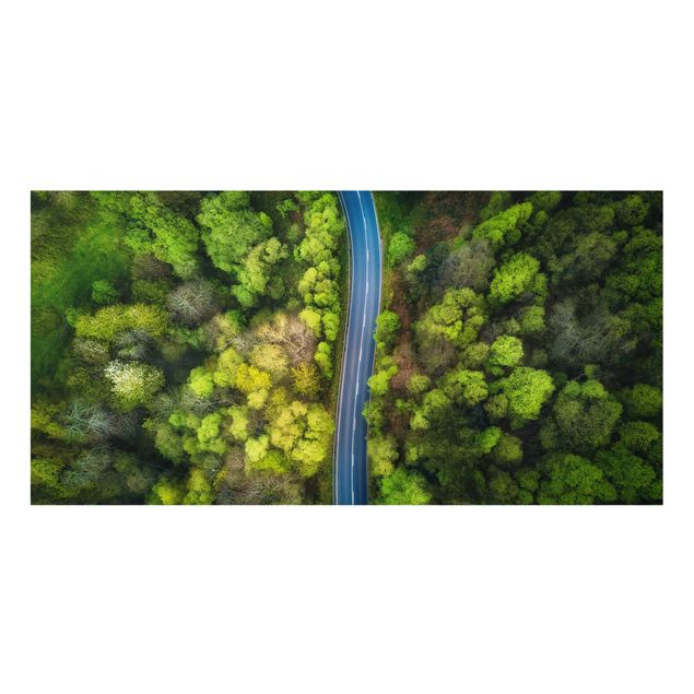 Paraschizzi in vetro - Aerial View - Asphalt Road In The Forest
