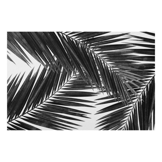 Decorazioni per cucina Vista tra le foglie di palme in bianco e nero