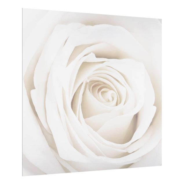 Paraschizzi cucina vetro Pretty White Rose