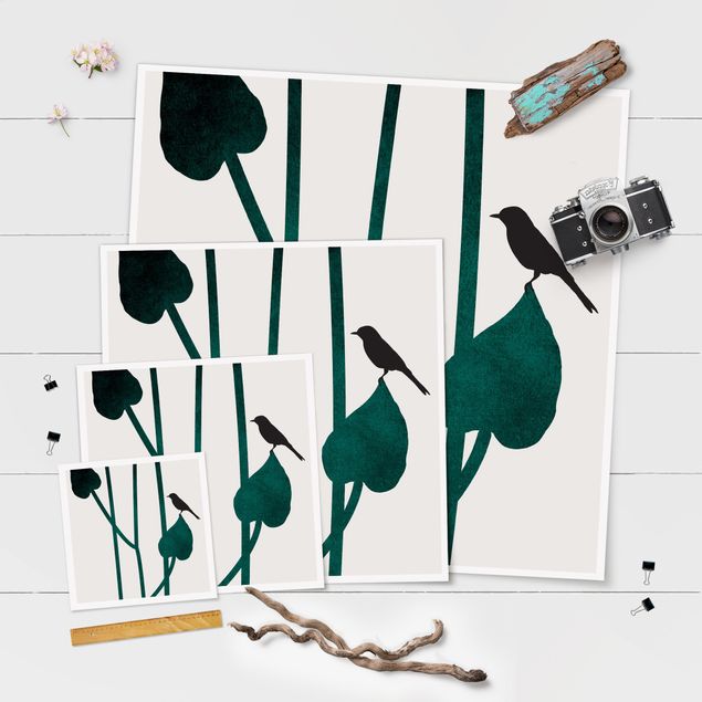 Stampe poster Mondo vegetale grafico - Uccello su foglia