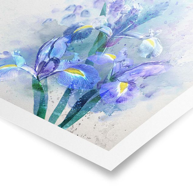 Quadri blu Fiori ad acquerello - Iris