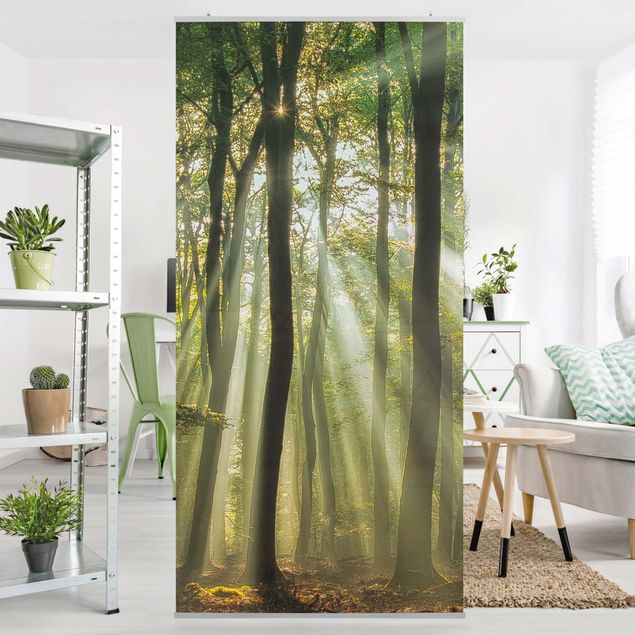 Tenda a pannello - Sunny Day in the Forest - 250x120cm
