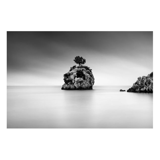 Quadri di mare Isola rocciosa nel mare Bianco e nero