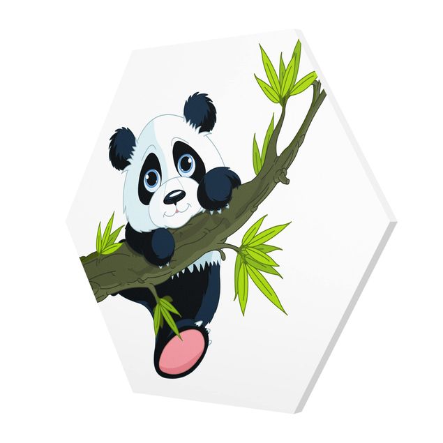 Quadri sulla natura Panda arrampicatore