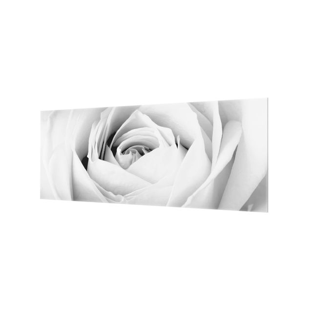Paraschizzi in vetro - Close Up Rose