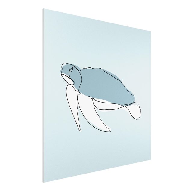 Quadro pesci Line Art - tartaruga