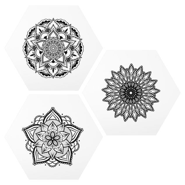 Quadri stampe Set di illustrazioni Mandala Flower Sun in bianco e nero