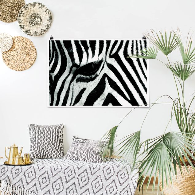Quadri zebra zebra