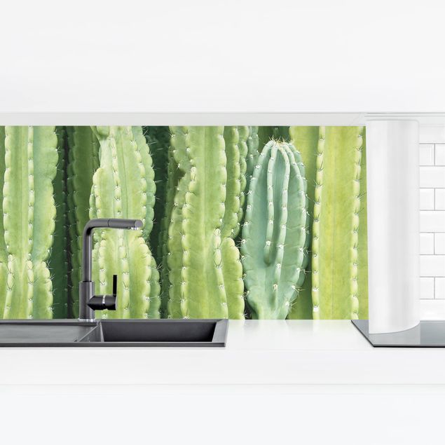 Rivestimento cucina - Parete di cactus