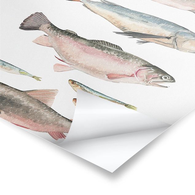 Stampe poster Sette pesci in acquerello I