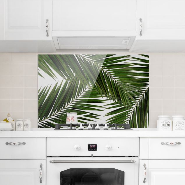 Paraschizzi con riproduzioni Vista attraverso le foglie di palma verde