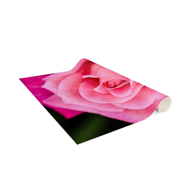 tappeto rosa cipria Fiori di rosa rosa sfondo verde