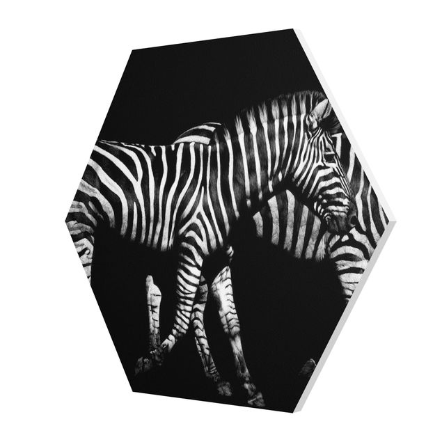 Quadri forex Zebra nel buio