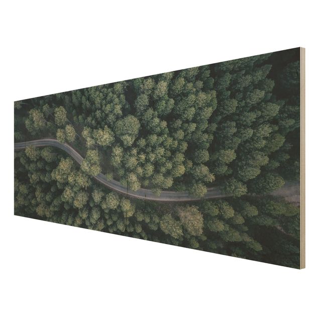 Quadri su legno Vista aerea - Strada forestale dall'alto