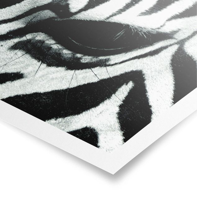 Quadri moderni bianco e nero zebra