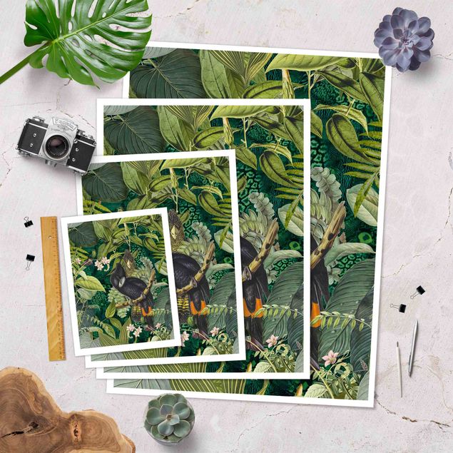 Poster Collage colorato - Cacatua nella giungla