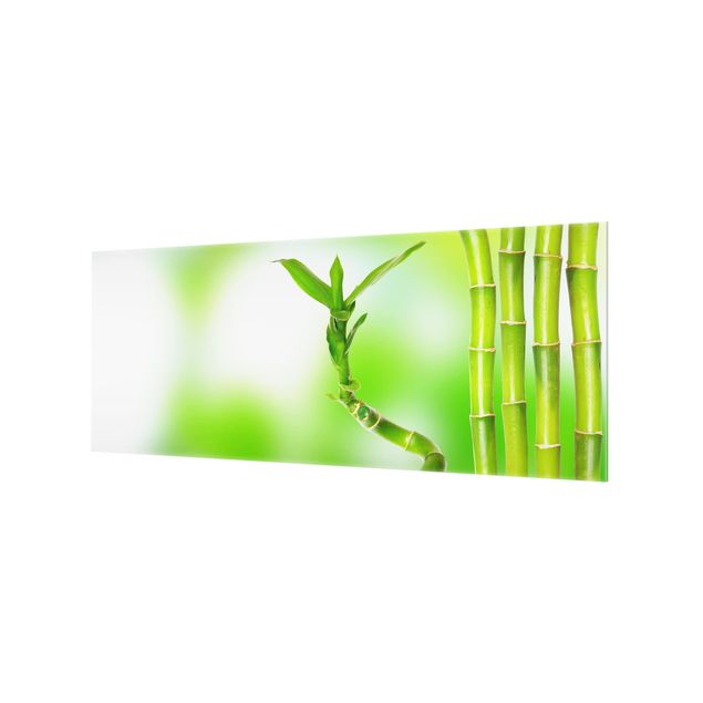 Paraschizzi in vetro - green bamboo