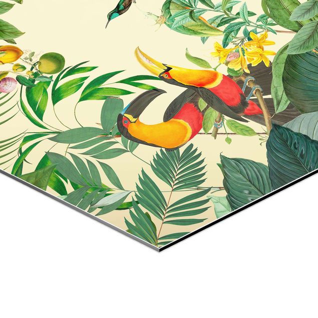 Quadri stampe Collage vintage - Uccelli nella giungla