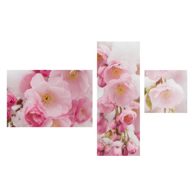 Stampa su tela 3 parti - Snow-covered cherry blossoms - Collage 2